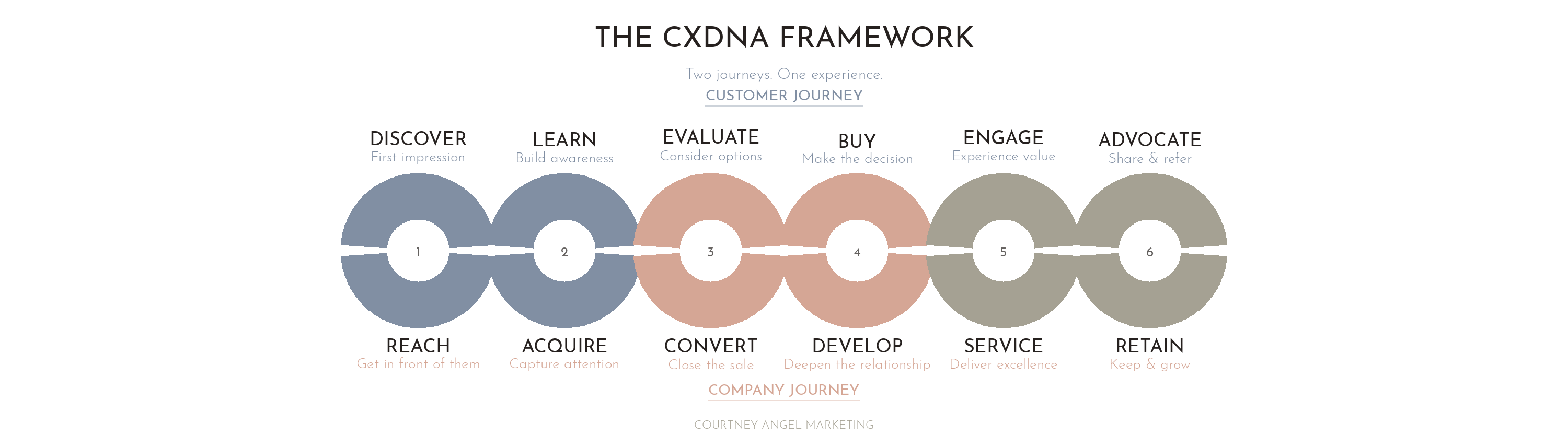 funnel_cxdna_landscape